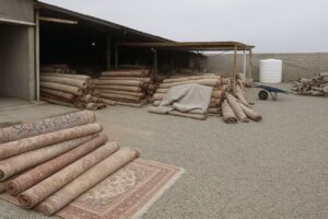 قالیشویی باغستان کرج