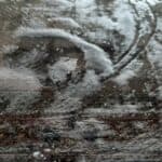 قالیشویی در حصار