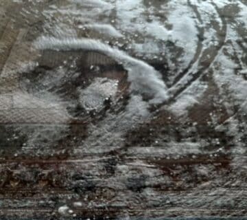 قالیشویی در حصار